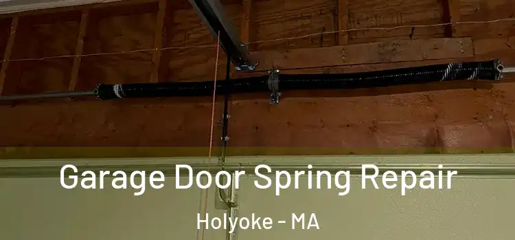  Garage Door Spring Repair Holyoke - MA